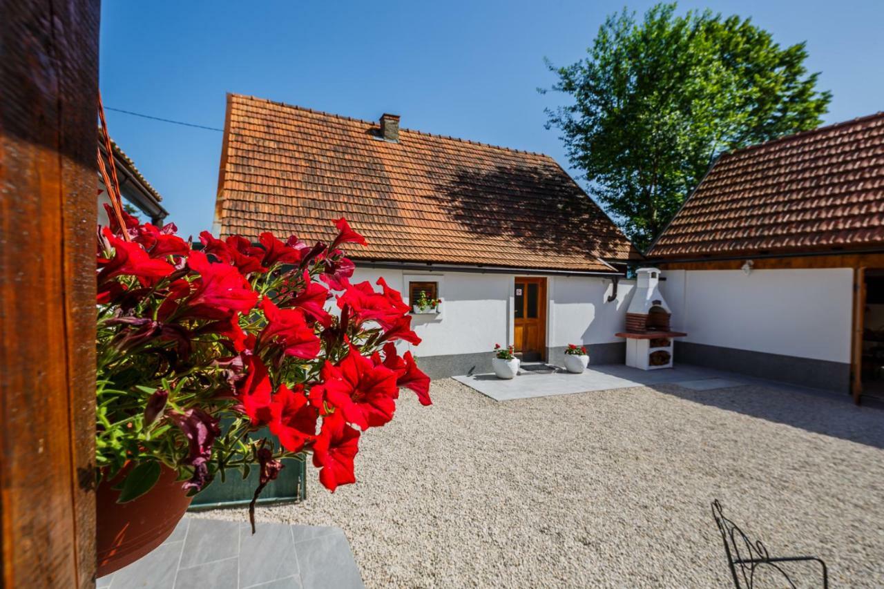 Beautiful Cottage With Heated Pool For 22 Ppl Plaški Kültér fotó